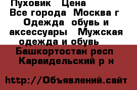 Пуховик › Цена ­ 2 000 - Все города, Москва г. Одежда, обувь и аксессуары » Мужская одежда и обувь   . Башкортостан респ.,Караидельский р-н